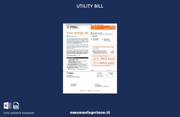 stile verificato Bolletta PSEG USA New York, modello Word e PDF, modello di pagi